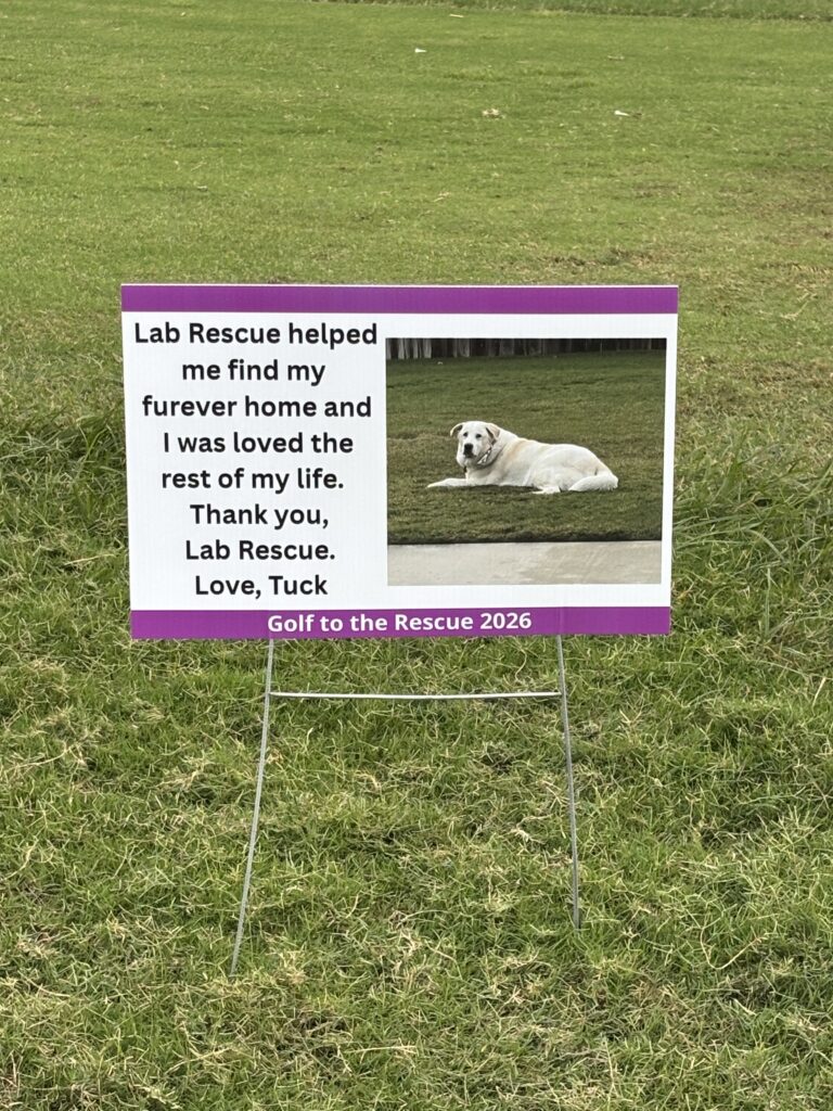 Lab Rescue OK Golf to the Rescue sign remembering a rescued Labrador named Tuck