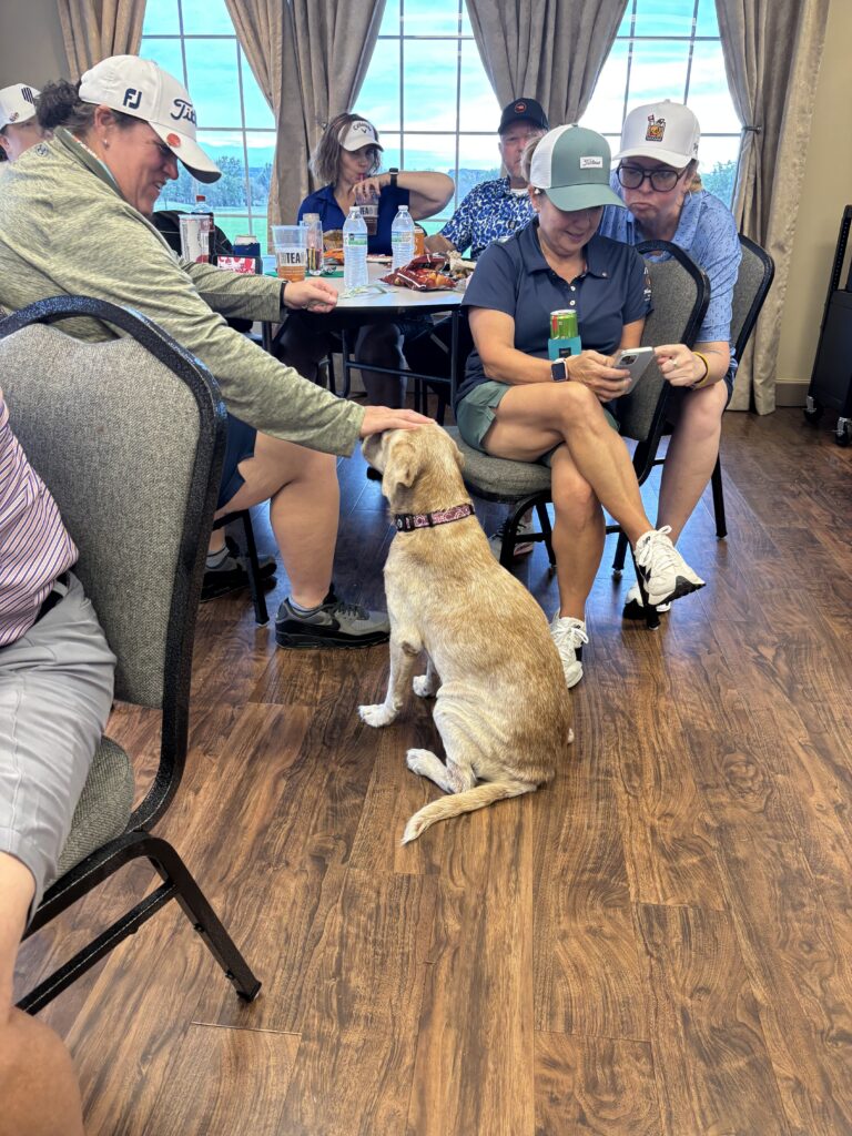 Rescue dog visiting golfers at Lab Rescue OK Golf to the Rescue